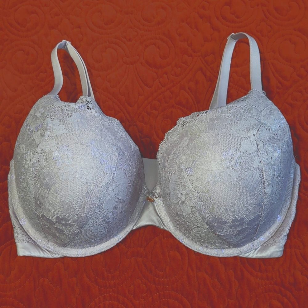 Victoria's Secret Silver Lace Push-Up Bra
